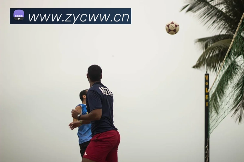 App Interface Preview